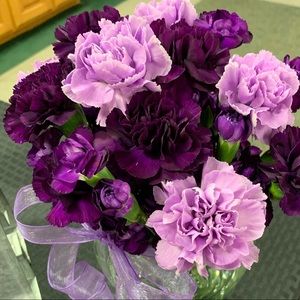 Meet your Posher, Monica